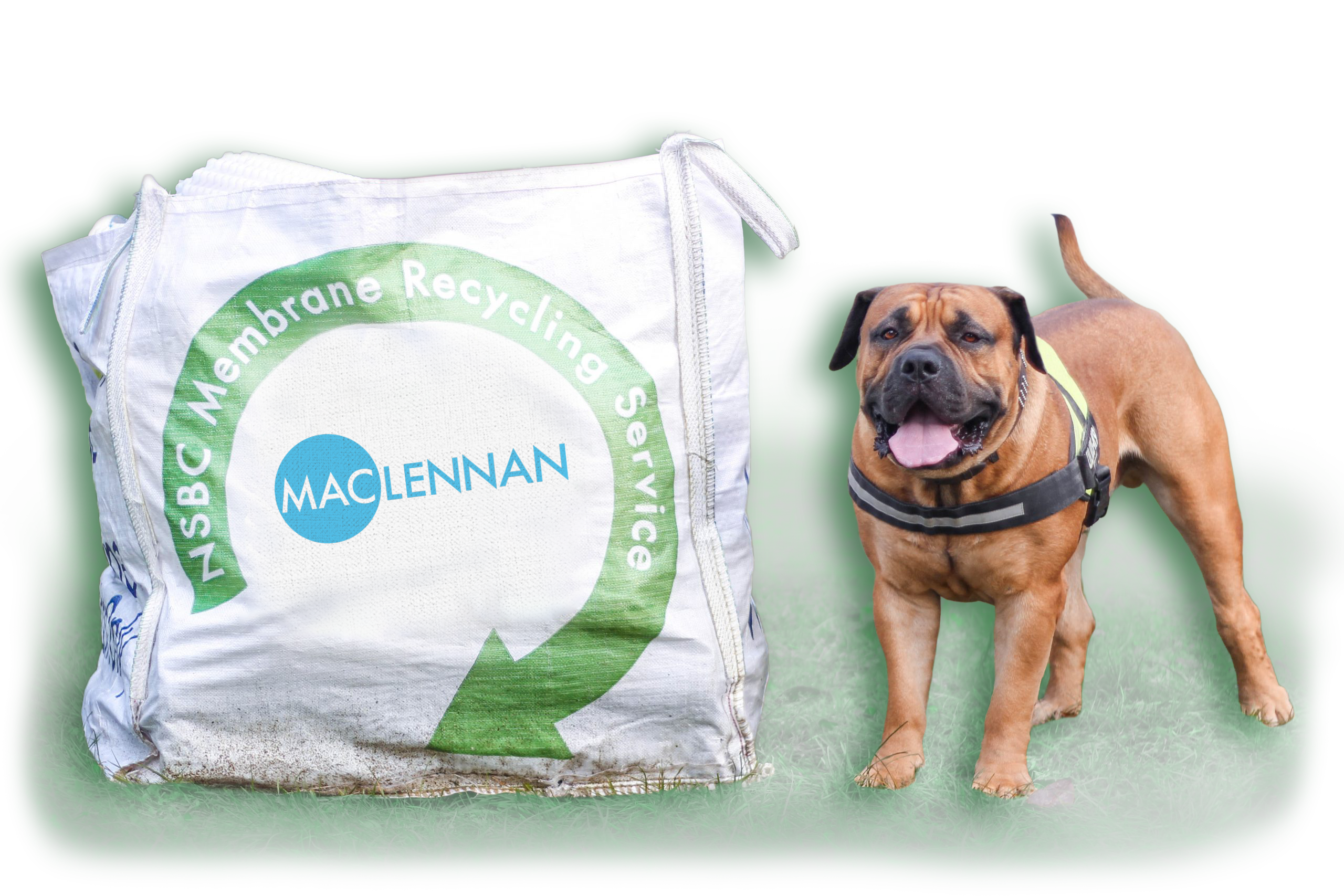 MaclennanYogiRecyclepartial