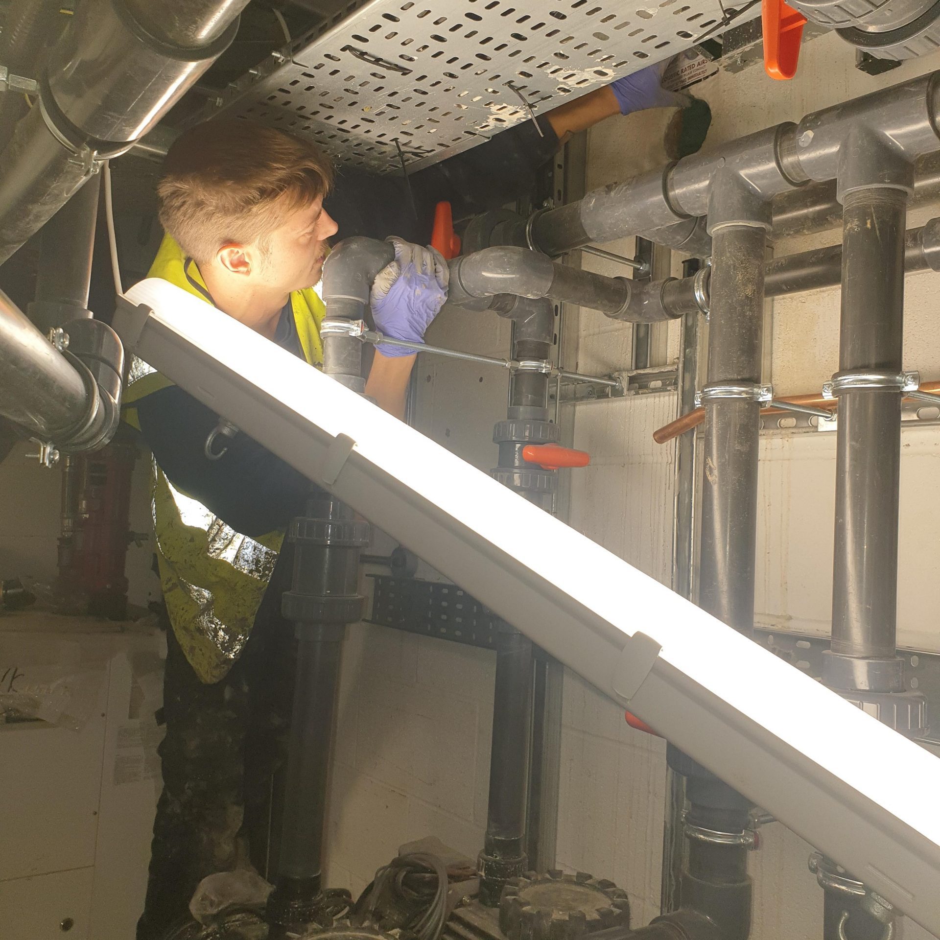 Waterproofing Hampstead Heath